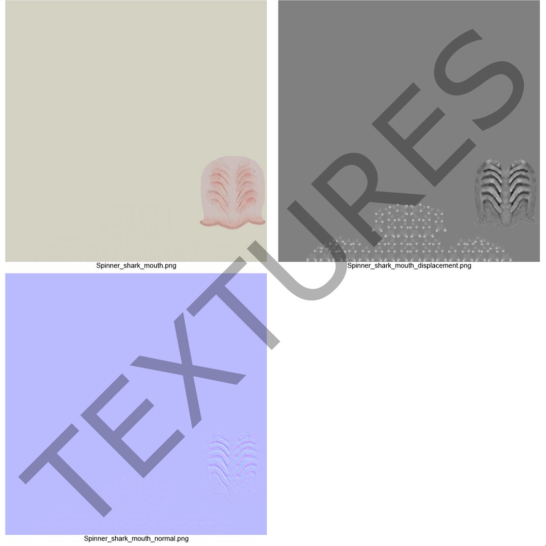 3d model sharks 6 https://p.turbosquid.com/ts-thumb/MQ/PKk83U/CjXMZnuq/sharkscollection3dmodels086/jpg/1452931271/1920x1080/fit_q87/2658642d56ef864b6508c07d10deba4858f7409f/sharkscollection3dmodels086.jpg