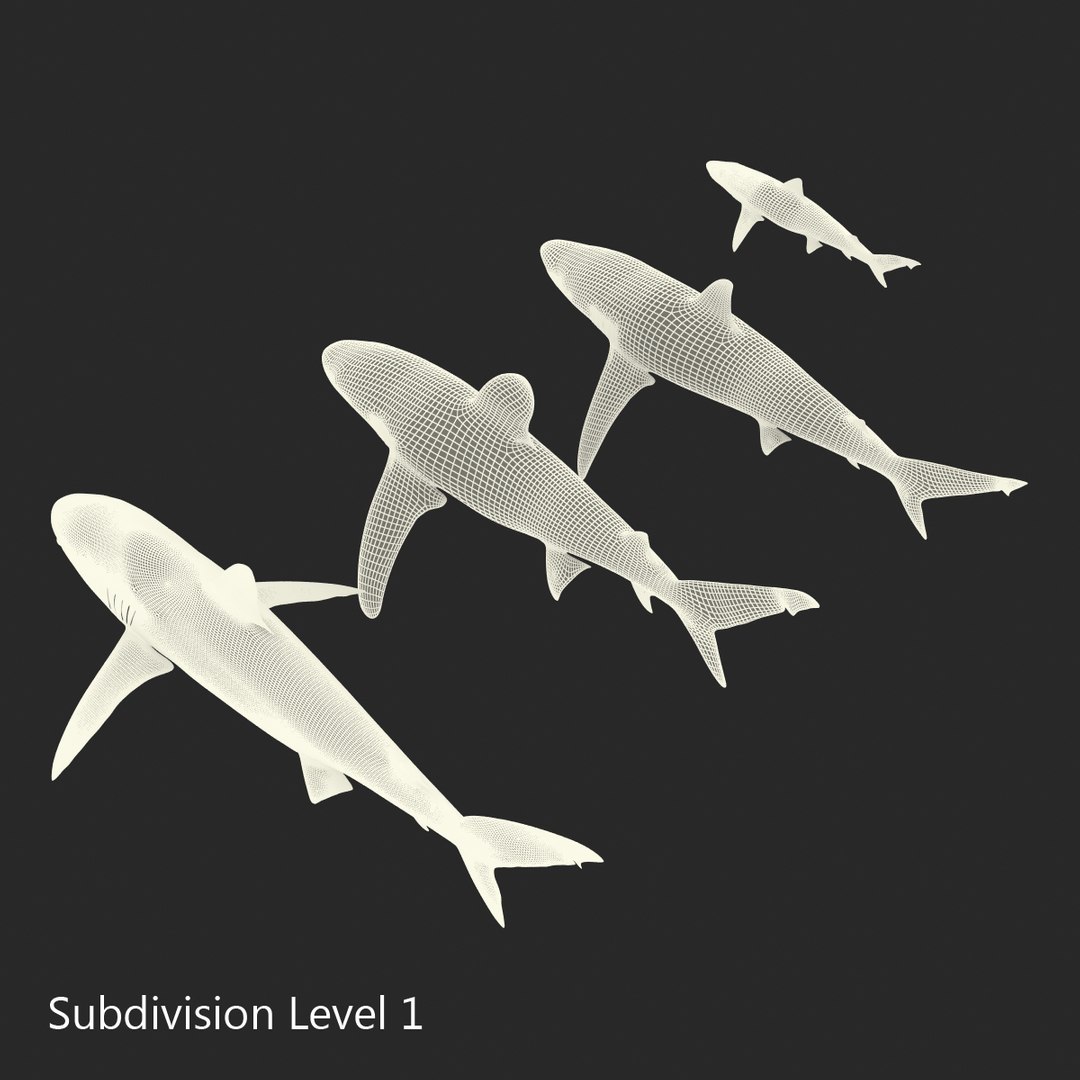 3d model sharks 6 https://p.turbosquid.com/ts-thumb/MQ/PKk83U/DLWfw0b1/sharkscollection3dmodels071/jpg/1452931269/1920x1080/fit_q87/342c9a58831db17e3f186d2a9e1e404ef3d49799/sharkscollection3dmodels071.jpg
