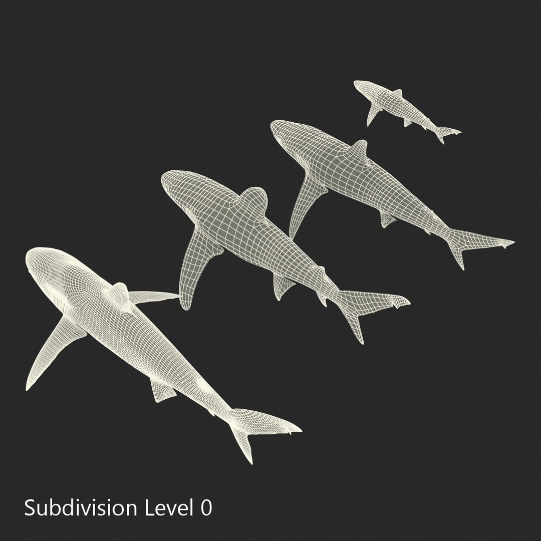 3d model sharks 6 https://p.turbosquid.com/ts-thumb/MQ/PKk83U/H9AIGtcO/sharkscollection3dmodels070/jpg/1452931269/1920x1080/fit_q87/fc6712ed075bc7b33952186ef014665118034b97/sharkscollection3dmodels070.jpg
