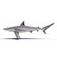 3d model sharks 6