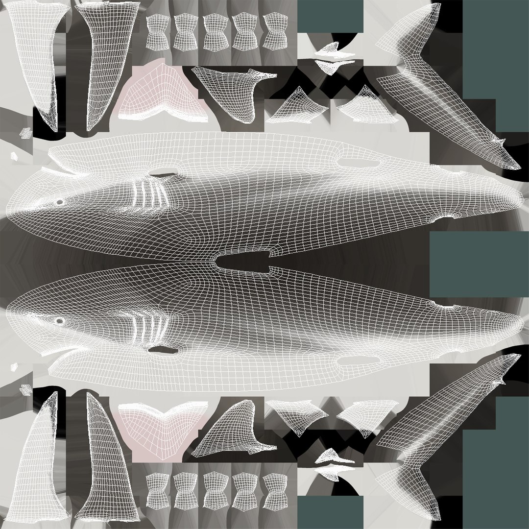 3d model sharks 6 https://p.turbosquid.com/ts-thumb/MQ/PKk83U/fL9jb0AF/sharkscollection3dmodels081/jpg/1452931270/1920x1080/fit_q87/bc9896b6c882254b9ca5048429d9823e866f08e5/sharkscollection3dmodels081.jpg
