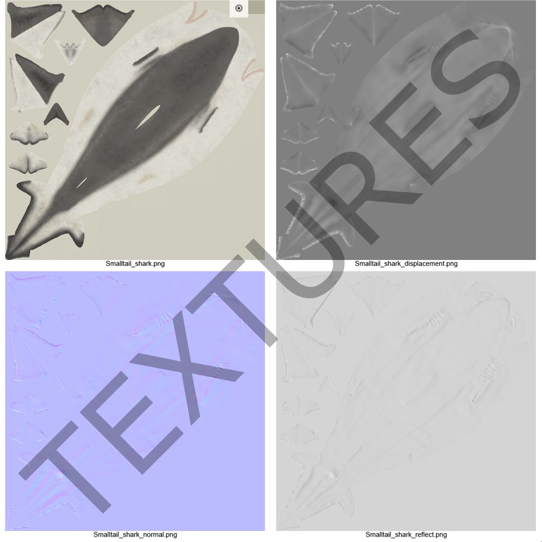 3d model sharks 6 https://p.turbosquid.com/ts-thumb/MQ/PKk83U/l1pkTJKv/sharkscollection3dmodels085/jpg/1452931271/1920x1080/fit_q87/00226568157a81f72246c60de41daf960fbd2756/sharkscollection3dmodels085.jpg