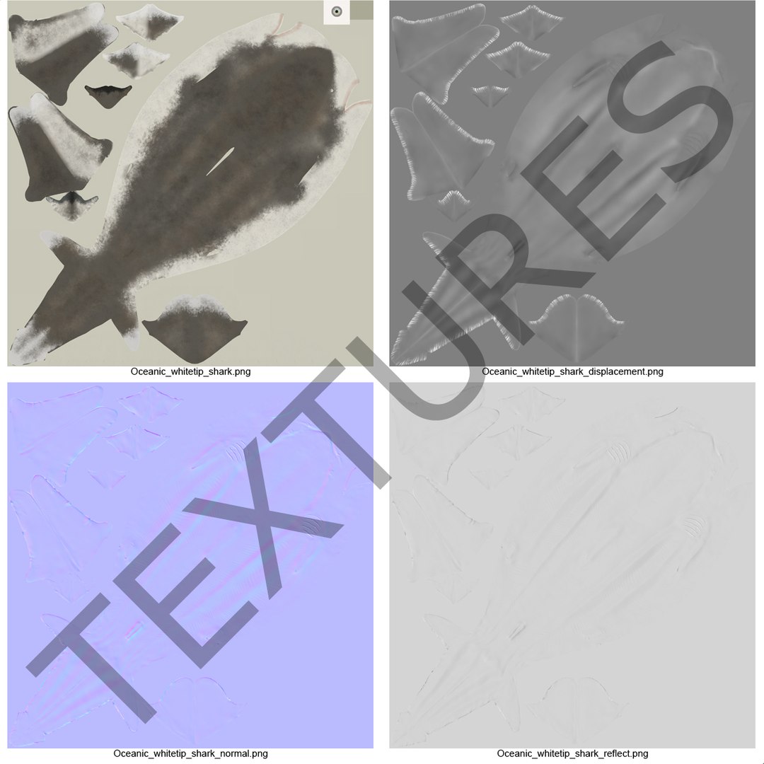 3d model sharks 6 https://p.turbosquid.com/ts-thumb/MQ/PKk83U/yG1cwnnq/sharkscollection3dmodels084/jpg/1452931270/1920x1080/fit_q87/03e0163adade53efc90959972521062e4090ec67/sharkscollection3dmodels084.jpg