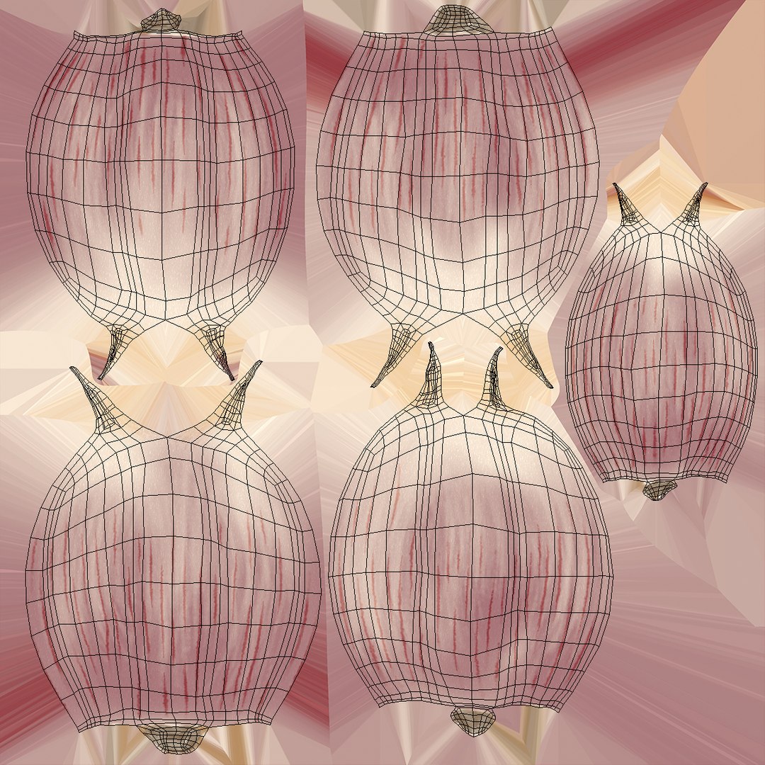 Five Garlic Cloves White 3D model https://p.turbosquid.com/ts-thumb/MQ/ZK0lLF/lk/fivegarliccloveswhitemb3dmodel011/jpg/1709599153/1920x1080/fit_q87/17781c6b45939207c2704e9277a32302a64cde14/fivegarliccloveswhitemb3dmodel011.jpg
