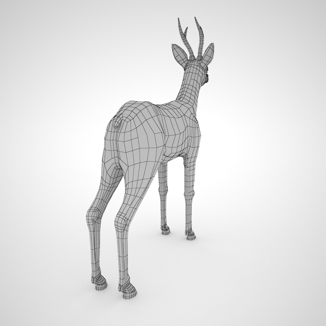 Roe Deer Male - Model - TurboSquid 1301458