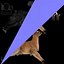Sarna - Samiec - Low Poly