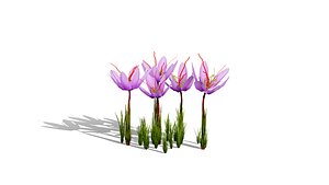 3D Moroccan Plant Bundle