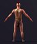 Native American game Character