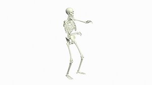 3D Skeleton Tut Hip Hop Dance