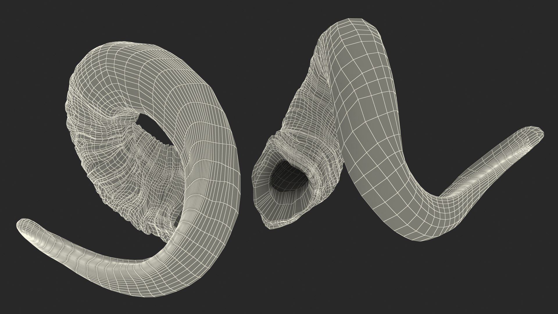 Old Ram Horns 3D model https://p.turbosquid.com/ts-thumb/MQ/u8UJC2/zV/oldramhornsvray3dmodel022/jpg/1661769137/1920x1080/fit_q87/9c2d388c78436839edf460d8c50666664c64e944/oldramhornsvray3dmodel022.jpg