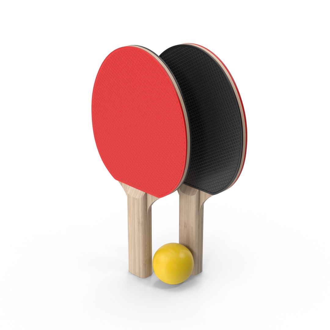 3D 40 Sport And Games Models Collection model https://p.turbosquid.com/ts-thumb/MQ/zBei0s/GH/redblackpingpongpaddles.g03.2k/jpg/1710792426/1920x1080/fit_q87/7708d6259d5ac8e08484274eda2de59f87d551db/redblackpingpongpaddles.g03.2k.jpg