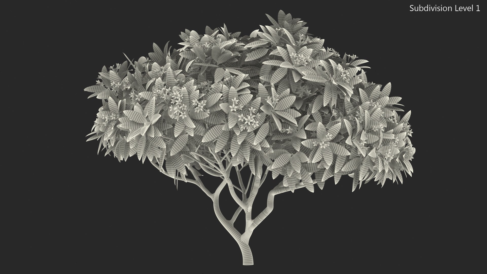 3D plumeria frangipani tree pink https://p.turbosquid.com/ts-thumb/MR/0wX2vh/Cpt2GRCf/plumeriafrangipanitreepinkflowersvray3dmodel015/jpg/1577620542/1920x1080/fit_q87/570149e5a0b7dfb77efb2fa32d040cf8e27940b2/plumeriafrangipanitreepinkflowersvray3dmodel015.jpg