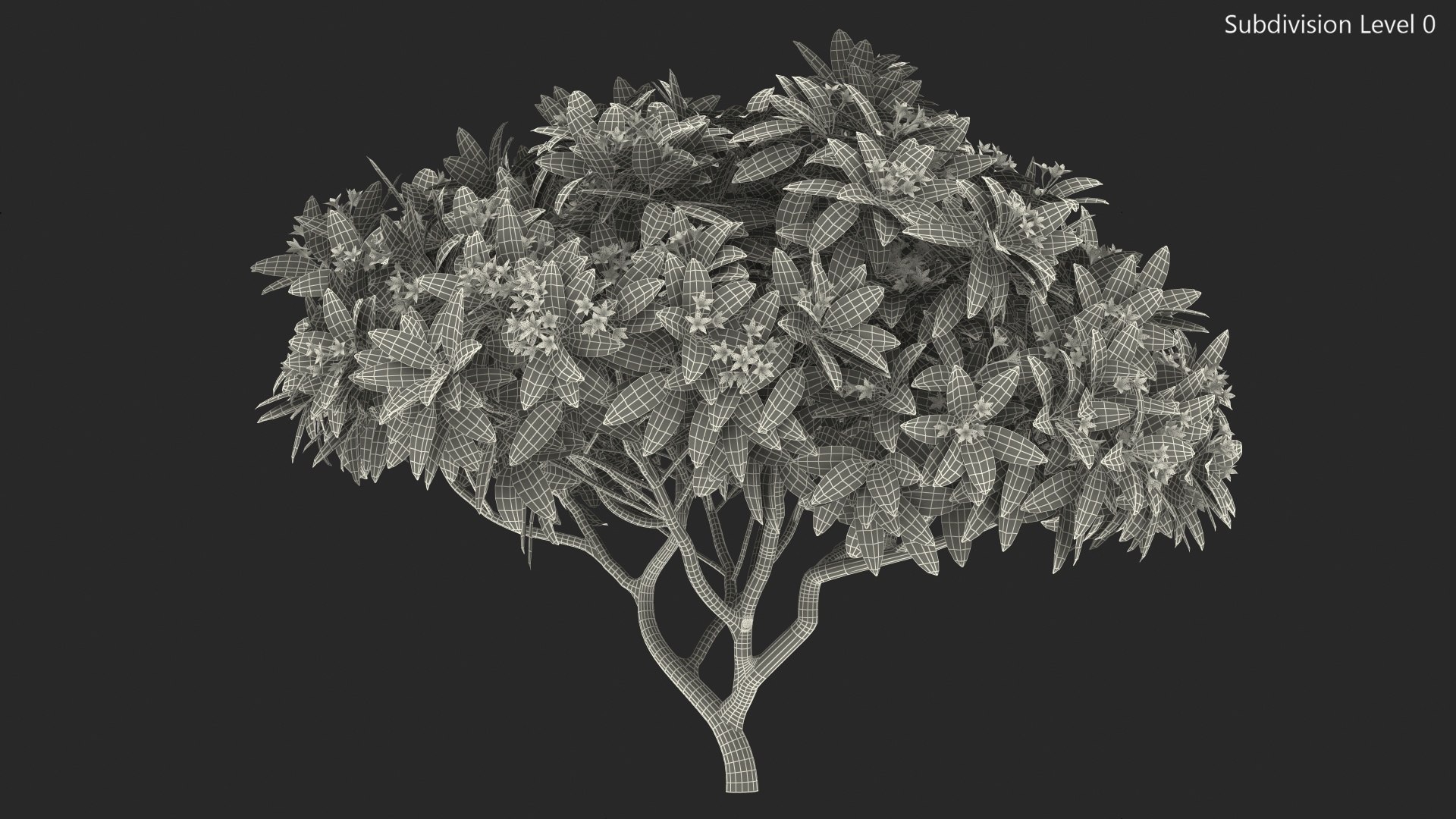 3D plumeria frangipani tree pink https://p.turbosquid.com/ts-thumb/MR/0wX2vh/YHQF7QHp/plumeriafrangipanitreepinkflowersvray3dmodel014/jpg/1577620538/1920x1080/fit_q87/8ee484954dd902093f14d09fa4759fc569cbbe11/plumeriafrangipanitreepinkflowersvray3dmodel014.jpg