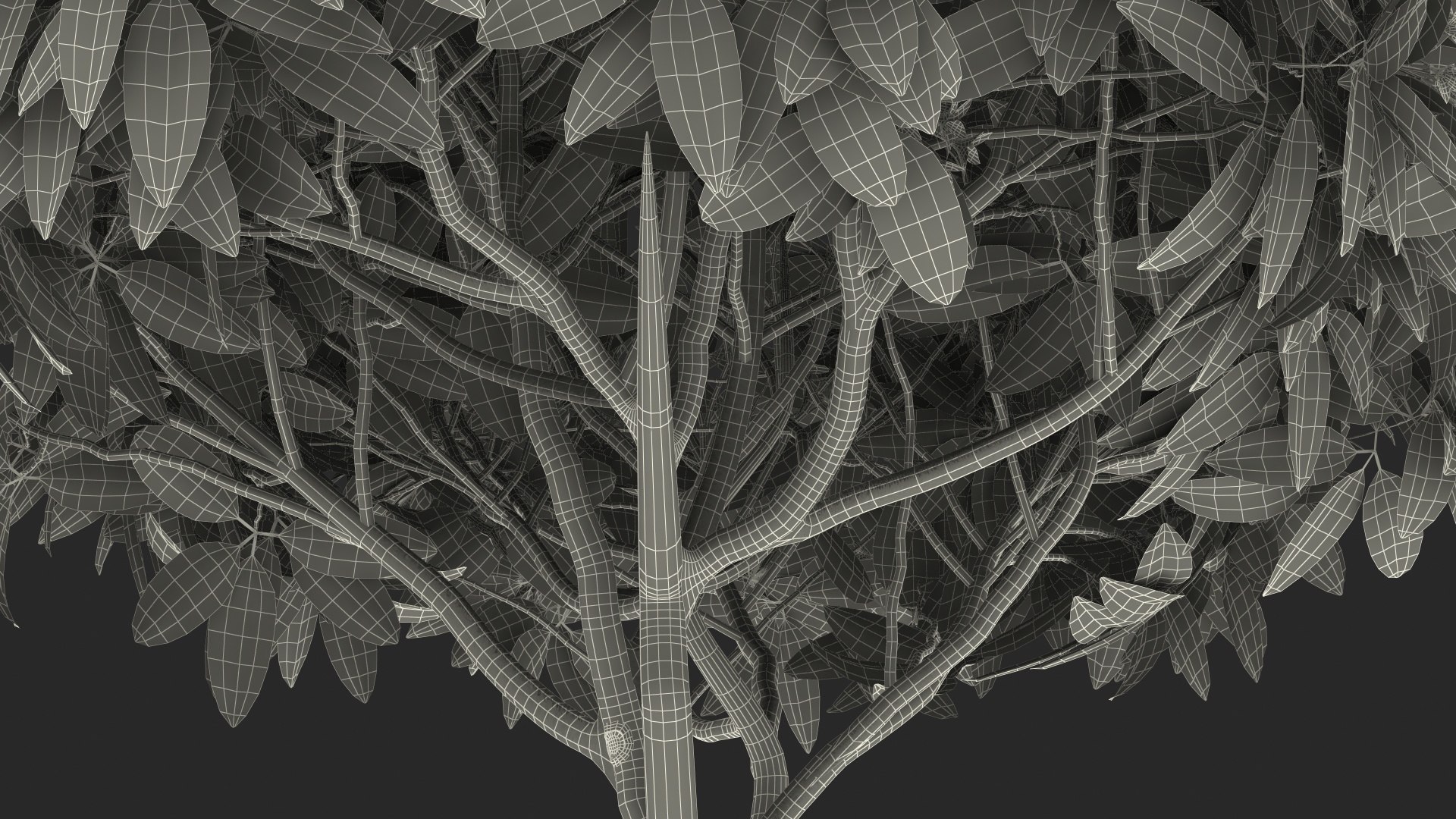 3D plumeria frangipani tree pink https://p.turbosquid.com/ts-thumb/MR/0wX2vh/hAIFVSd4/plumeriafrangipanitreepinkflowersvray3dmodel022/jpg/1577620579/1920x1080/fit_q87/0b4d502527f2a6c22b8600b037da47756c0e530c/plumeriafrangipanitreepinkflowersvray3dmodel022.jpg