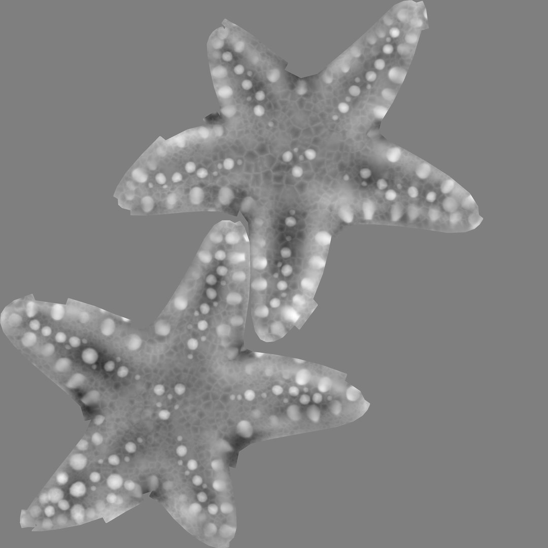 ecotric starfish