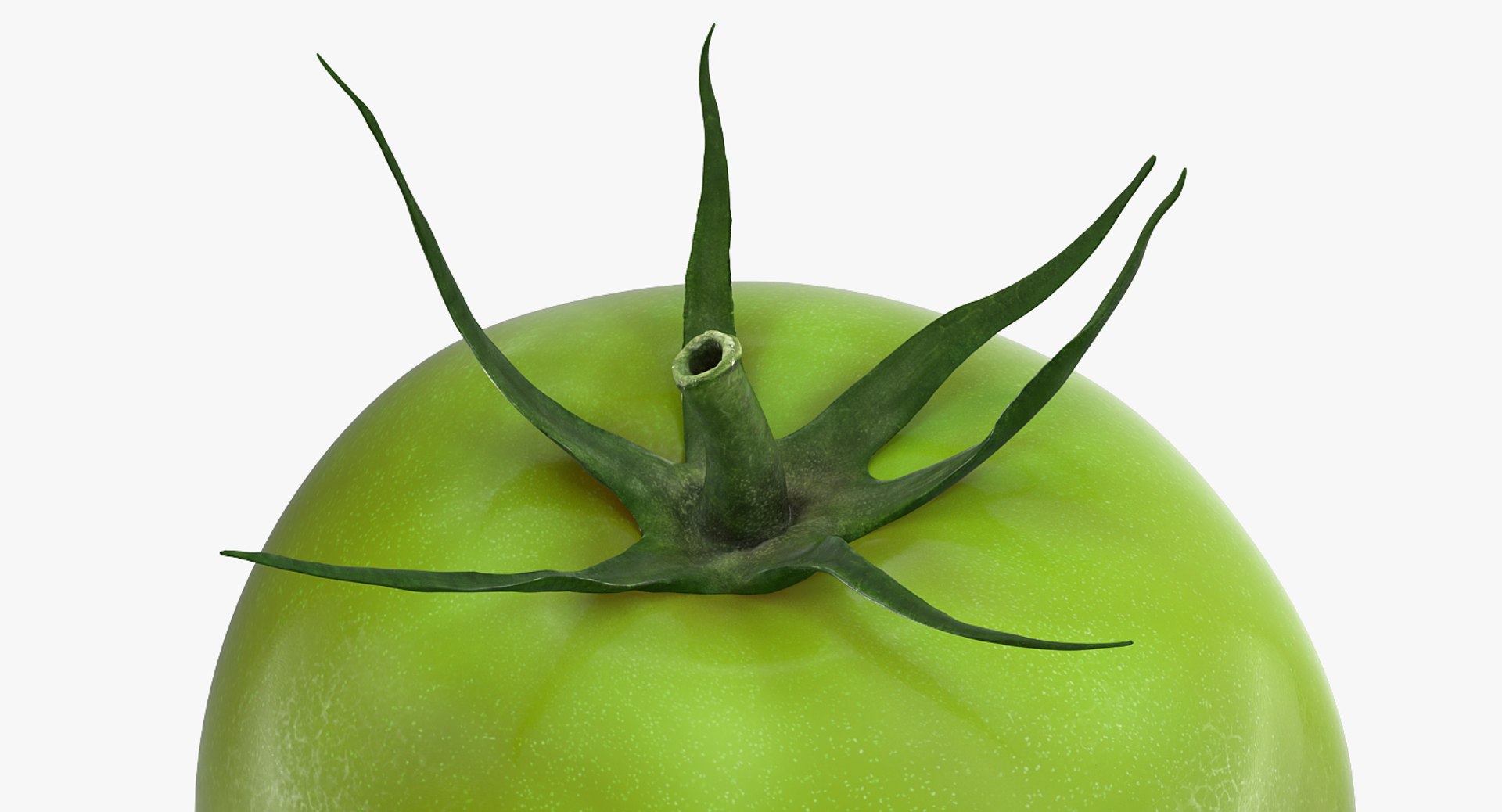 3D model Vegetables Collection 7 https://p.turbosquid.com/ts-thumb/MR/3rHt4s/15/vegetablescollection73dmodel135/jpg/1689608466/1920x1080/fit_q87/434bf6fa71e2da3b35b0d18881db6aaeeba1ba46/vegetablescollection73dmodel135.jpg