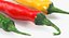 Colección de verduras 7