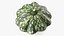Colección de verduras 7