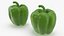 Colección de verduras 7