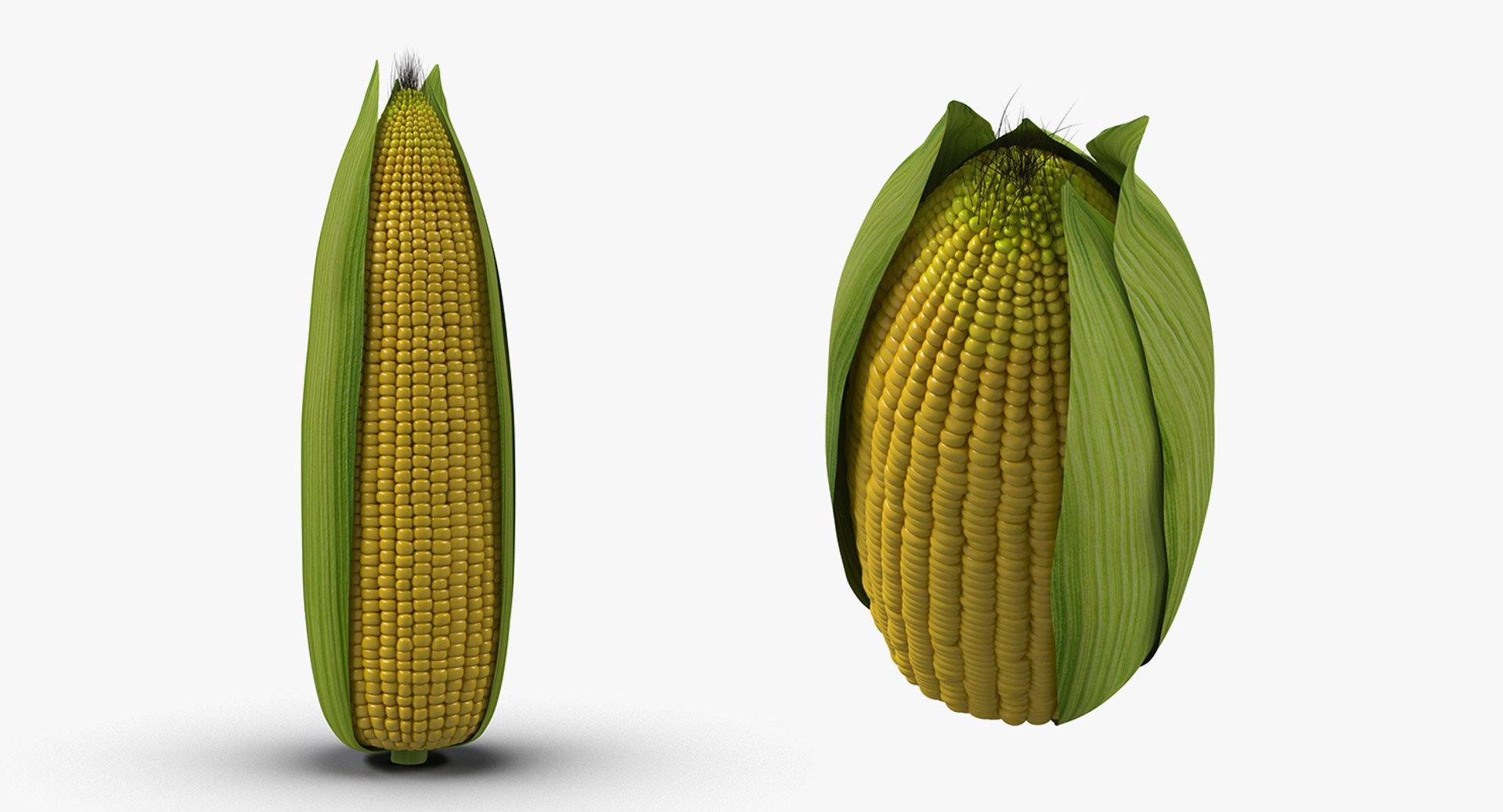 3D model Vegetables Collection 7 https://p.turbosquid.com/ts-thumb/MR/3rHt4s/DG/vegetablescollection73dmodel158/jpg/1689608555/1920x1080/fit_q87/52f2cac71294c317dd9da4315b770d7fc2bb51fa/vegetablescollection73dmodel158.jpg