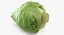 Colección de verduras 7