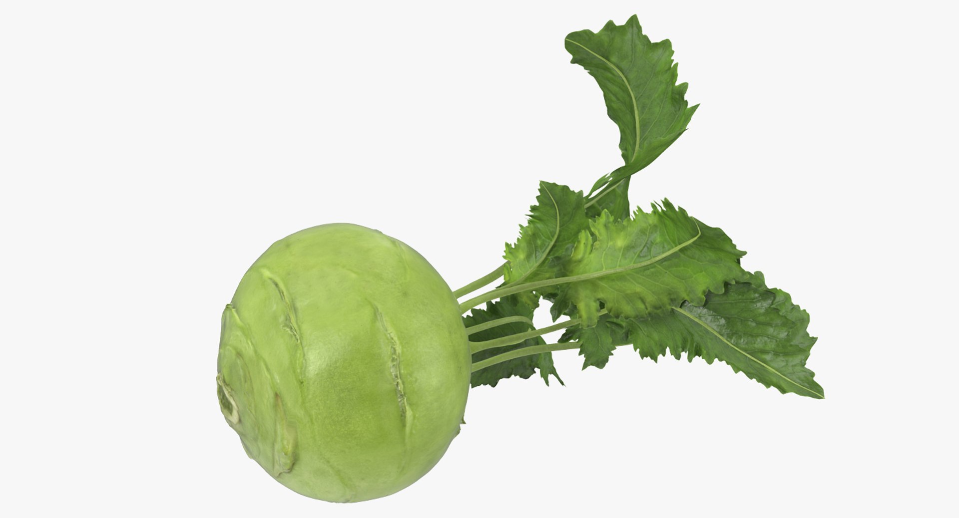 3D model Vegetables Collection 7 https://p.turbosquid.com/ts-thumb/MR/3rHt4s/Kc/vegetablescollection73dmodel083/jpg/1689608266/1920x1080/fit_q87/c73a210de0d50d834a95105c391c483ba5e301bf/vegetablescollection73dmodel083.jpg