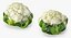 Colección de verduras 7
