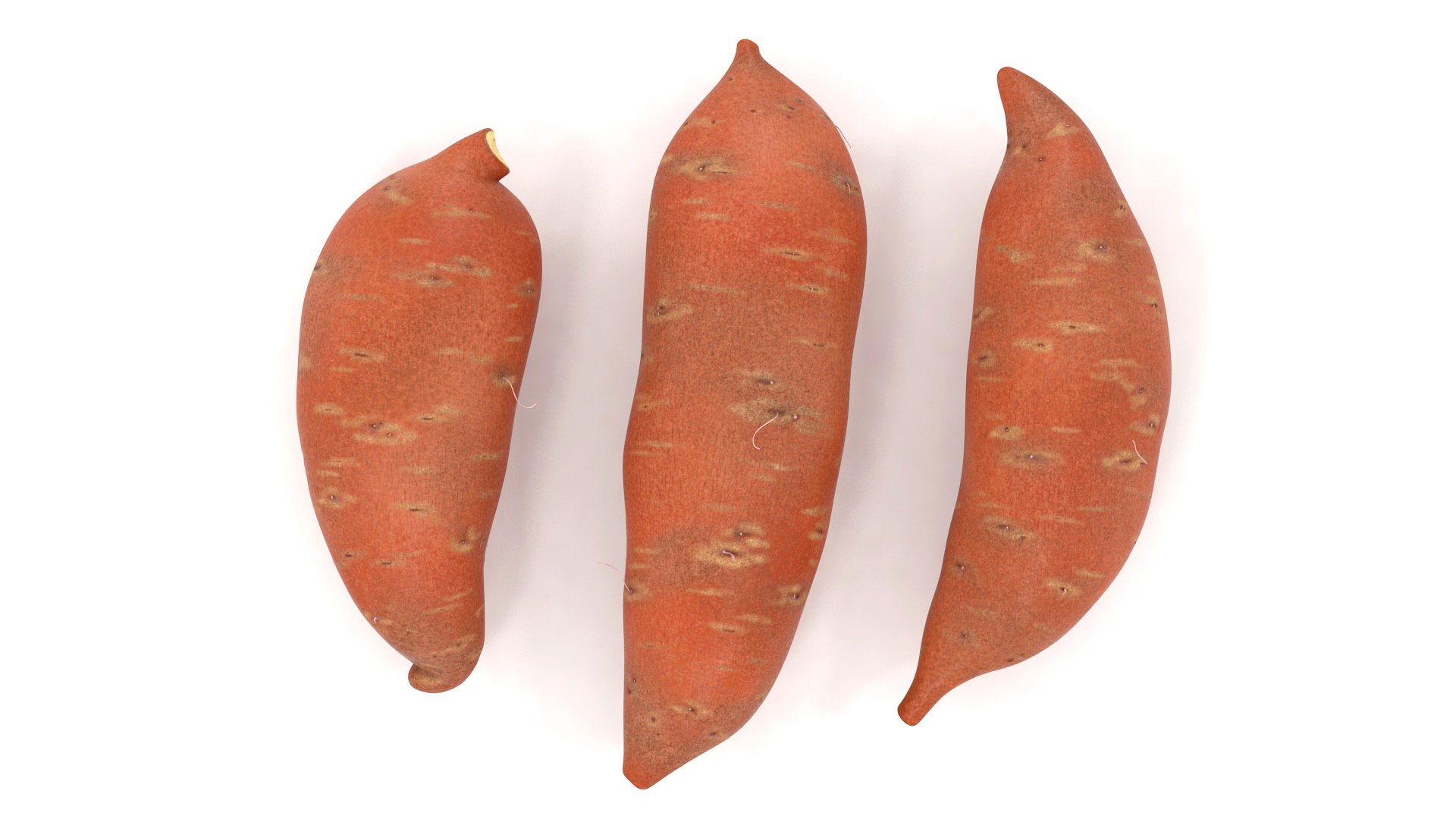 3D model Vegetables Collection 7 https://p.turbosquid.com/ts-thumb/MR/3rHt4s/Sl/vegetablescollection73dmodel030/jpg/1689608066/1920x1080/fit_q87/c88cafe8b5233d197ee58f96e971f4d8a2b64567/vegetablescollection73dmodel030.jpg