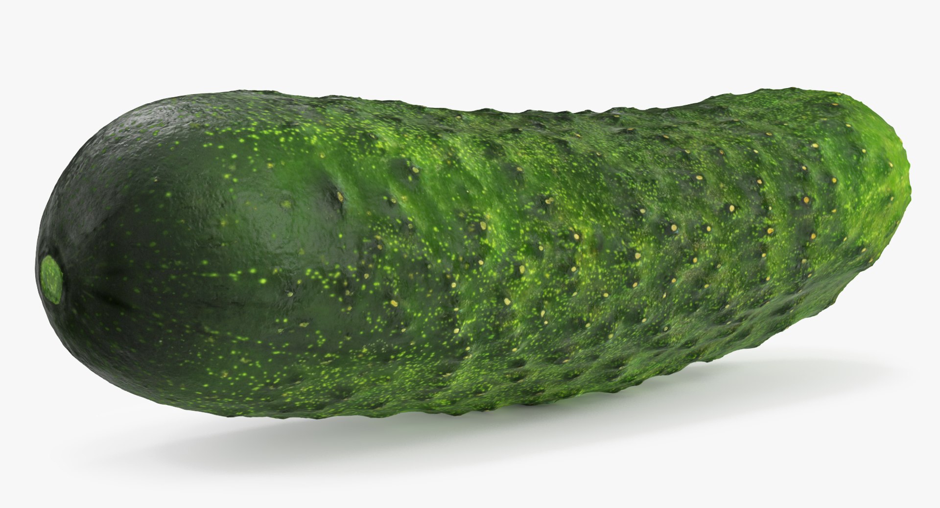 3D model Vegetables Collection 7 https://p.turbosquid.com/ts-thumb/MR/3rHt4s/Sw/vegetablescollection73dmodel071/jpg/1689608218/1920x1080/fit_q87/4628f0bc4fad7d340e36beda66e6f80eedf42563/vegetablescollection73dmodel071.jpg