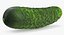 Colección de verduras 7