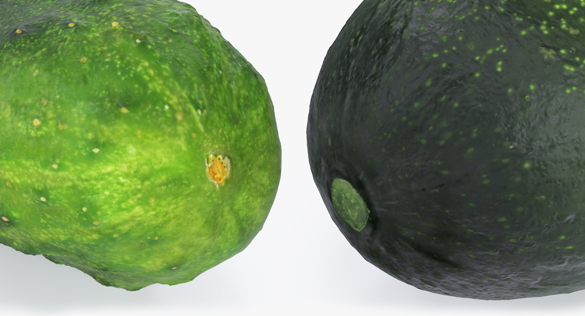 3D model Vegetables Collection 7 https://p.turbosquid.com/ts-thumb/MR/3rHt4s/T7/vegetablescollection73dmodel073/jpg/1689608227/1920x1080/fit_q87/1d5821e4c5cd44411a6f7196880105134dbb59a6/vegetablescollection73dmodel073.jpg