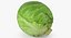 Colección de verduras 7