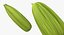 Colección de verduras 7