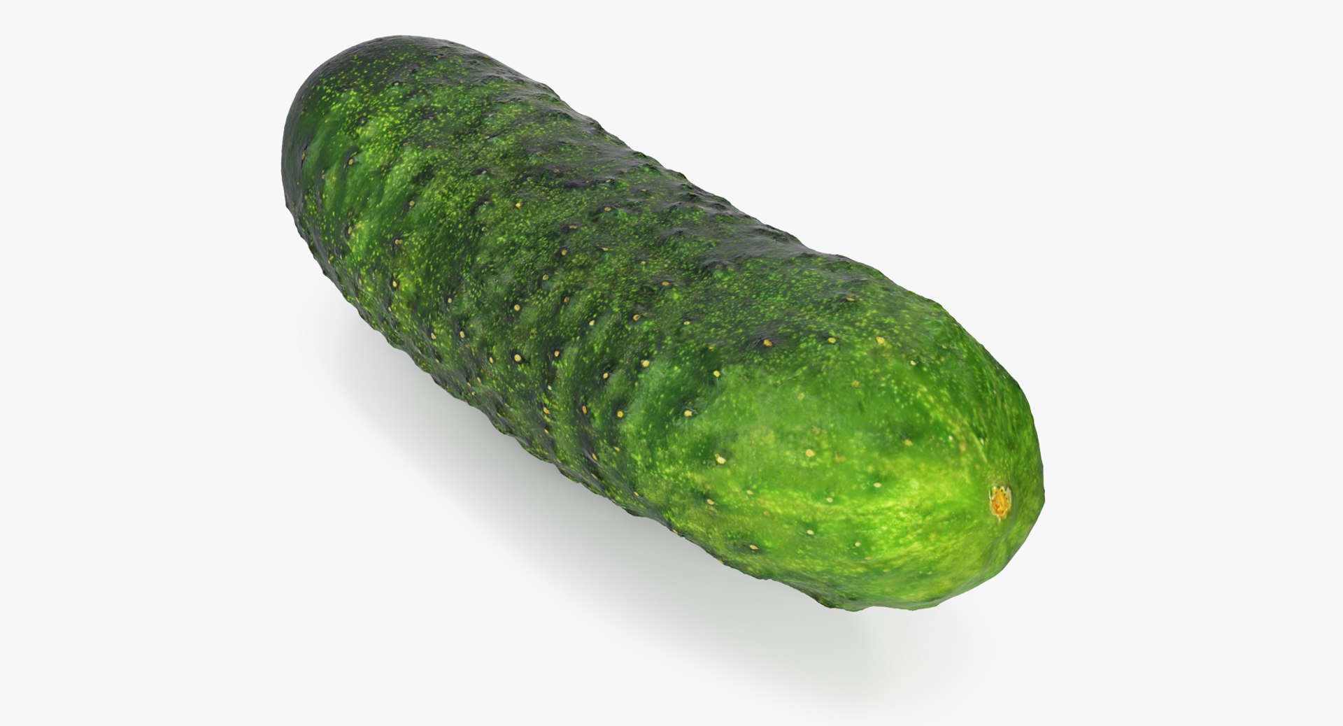3D model Vegetables Collection 7 https://p.turbosquid.com/ts-thumb/MR/3rHt4s/d4/vegetablescollection73dmodel069/jpg/1689608209/1920x1080/fit_q87/13e837cc305a9d6ce976bd4d76914d6617eb5a27/vegetablescollection73dmodel069.jpg