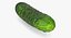 Colección de verduras 7