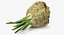 Colección de verduras 7