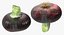Colección de verduras 7