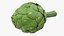 Colección de verduras 7