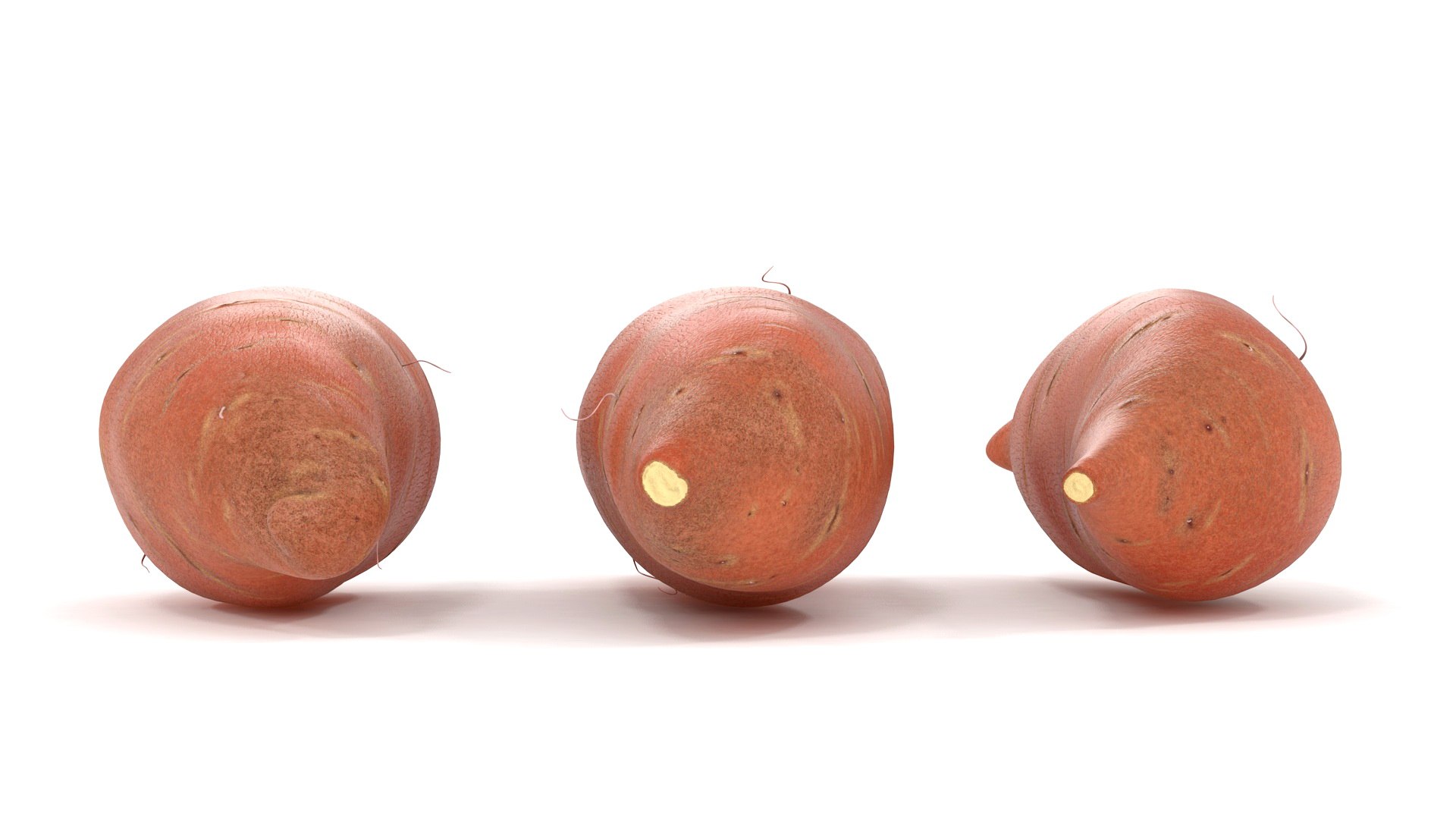 3D model Vegetables Collection 7 https://p.turbosquid.com/ts-thumb/MR/3rHt4s/ja/vegetablescollection73dmodel035/jpg/1689608084/1920x1080/fit_q87/0bd6167fe4f99b3a29de5b6ea18032f5e54661c3/vegetablescollection73dmodel035.jpg