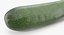 Colección de verduras 7