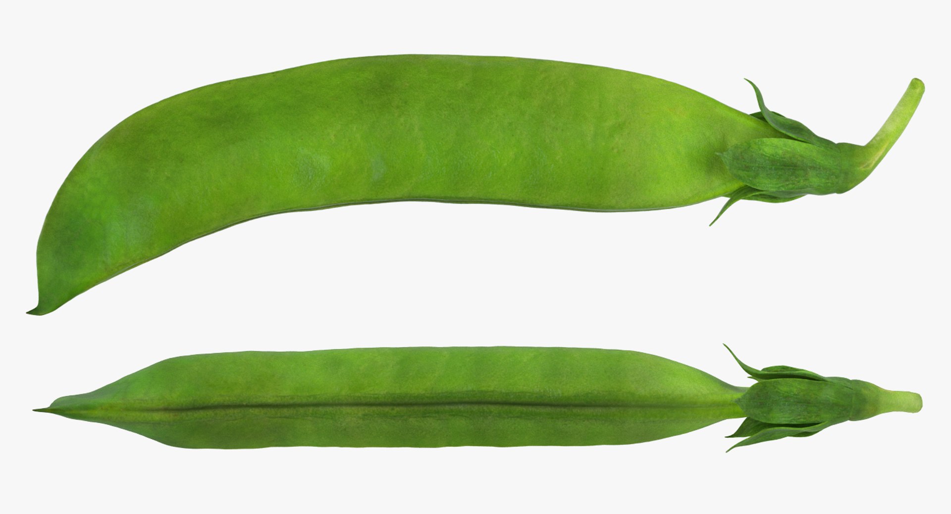 3D model Vegetables Collection 7 https://p.turbosquid.com/ts-thumb/MR/3rHt4s/r2/vegetablescollection73dmodel042/jpg/1689608110/1920x1080/fit_q87/74d63789696d4281f604fcc97da859030cf3b14b/vegetablescollection73dmodel042.jpg
