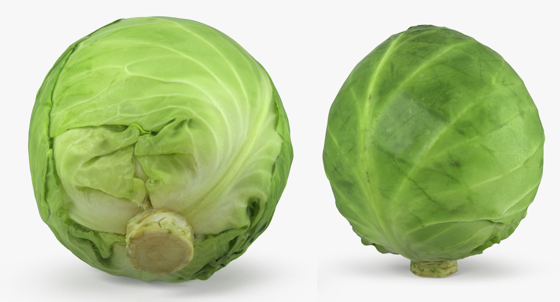 3D model Vegetables Collection 7 https://p.turbosquid.com/ts-thumb/MR/3rHt4s/u4/vegetablescollection73dmodel142/jpg/1689608496/1920x1080/fit_q87/6004dbeeaf7e6a80b1931ba4ffaeeed83ea937d7/vegetablescollection73dmodel142.jpg
