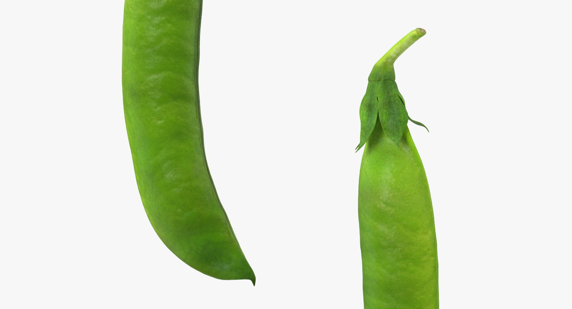 3D model Vegetables Collection 7 https://p.turbosquid.com/ts-thumb/MR/3rHt4s/wc/vegetablescollection73dmodel041/jpg/1689608106/1920x1080/fit_q87/02e8279671f31b8bc881f47d687b554e546e4f76/vegetablescollection73dmodel041.jpg
