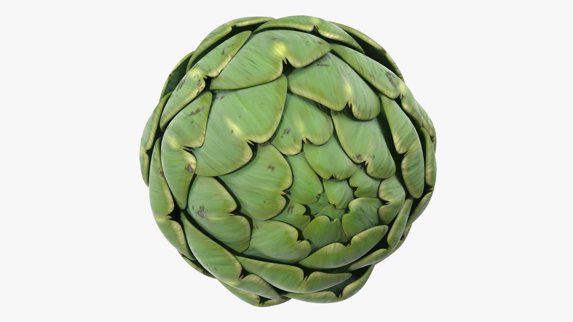 3D model Vegetables Collection 7 https://p.turbosquid.com/ts-thumb/MR/3rHt4s/xU/vegetablescollection73dmodel050/jpg/1689608140/1920x1080/fit_q87/a2eb860fcd7c807980c7549004682885a2002964/vegetablescollection73dmodel050.jpg