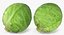 Colección de verduras 7