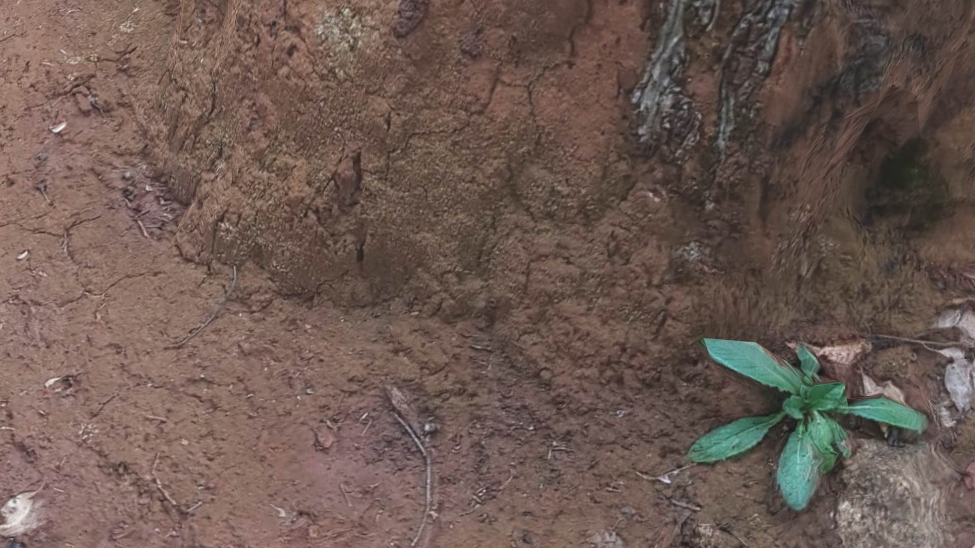 Ant Hill 3D model https://p.turbosquid.com/ts-thumb/MR/4i8Hlm/Dw/anthill4/jpg/1638594924/1920x1080/fit_q87/981446b2a6da9337d59b1961d048a3264127680f/anthill4.jpg