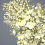 3d meadow meadowsweet grass