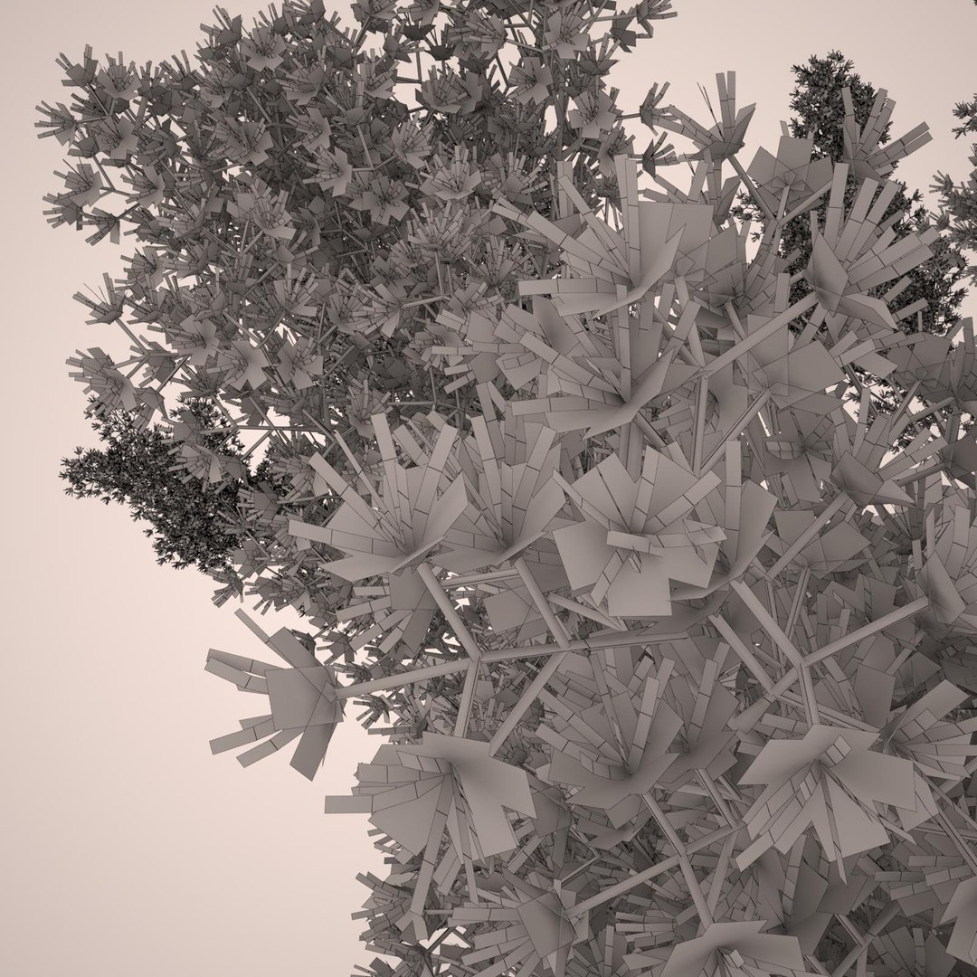 3d meadow meadowsweet grass https://p.turbosquid.com/ts-thumb/MR/5q6etd/soUy1Alw/meadowsweet_render_060_wireframe/jpg/1407853364/1920x1080/fit_q87/4e38bd4f097a05f1754a2d7d15460fb2e203e060/meadowsweet_render_060_wireframe.jpg