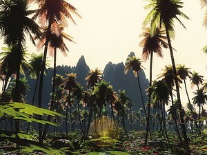 Jungle