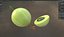 Gooseberry Fruit